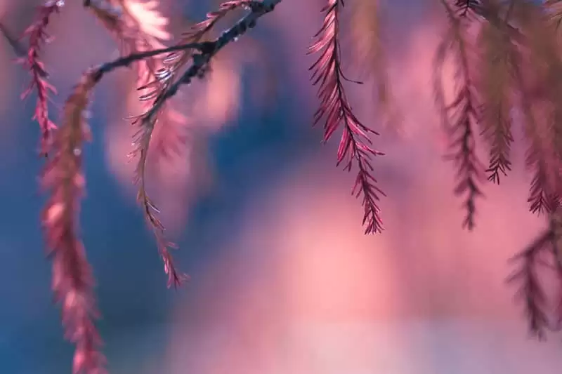 �˵���������������Ե