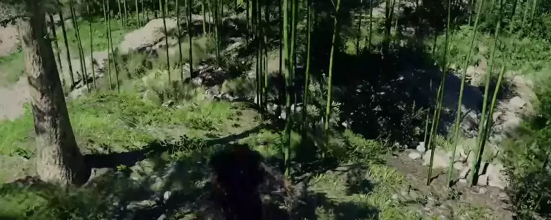 ����ɫɳĮ����֦����֦����ȡ�������-���ֳ������ɼ�ָ��