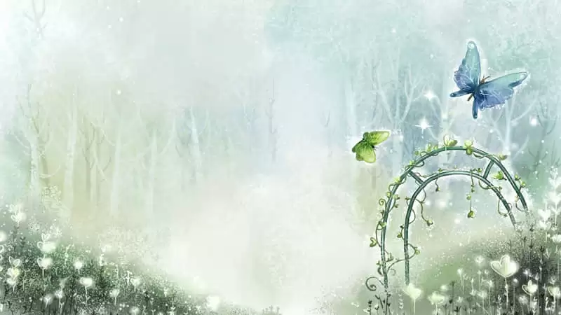 �ʺ����Ϸ����İ��в���ת��