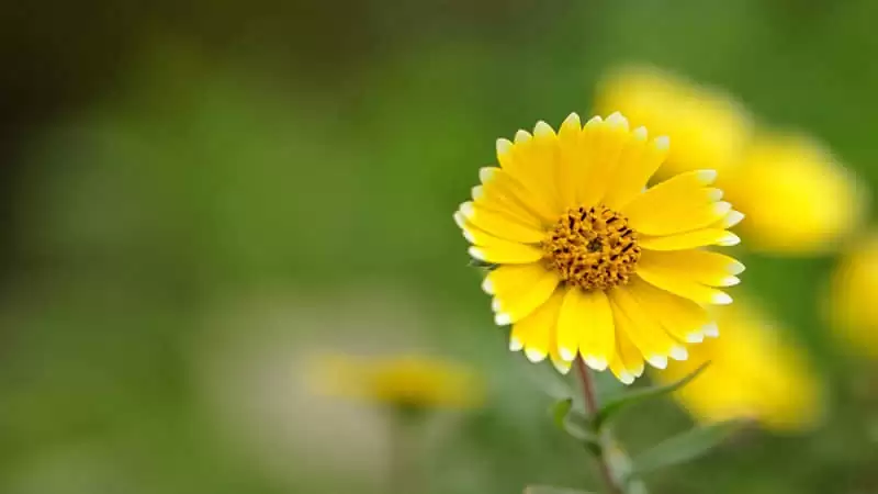 ͵һ��ȥ�������������