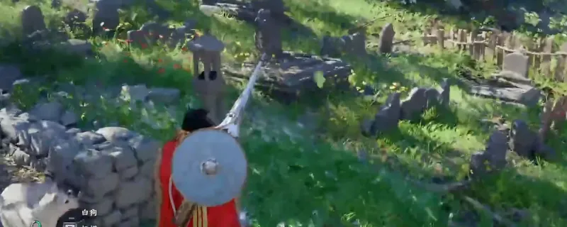 ����ɫɳĮ������ľ���ż����չ���-��ȼ��̨��������