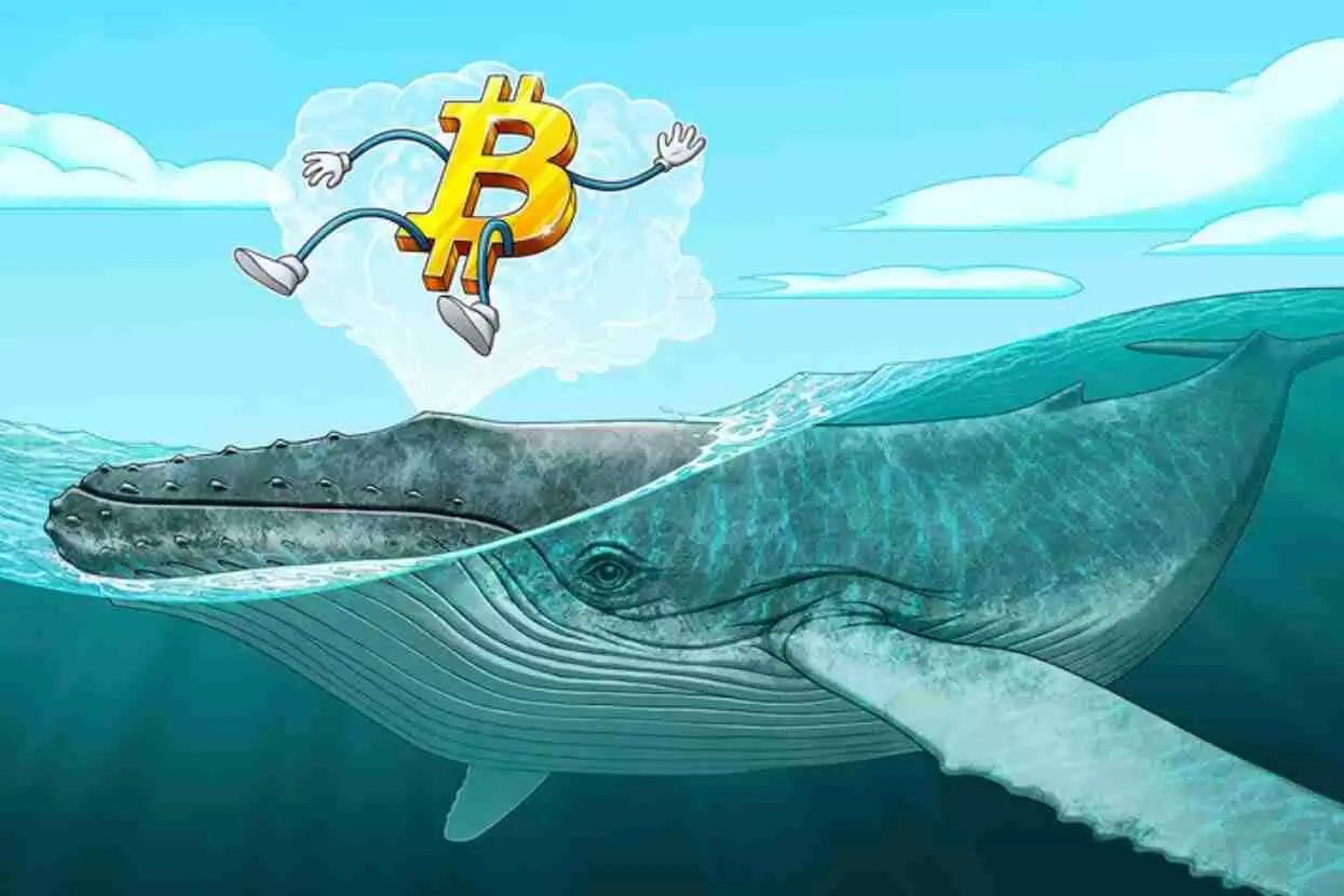 ���رҾ޾�����11.5��öBTC����2022����������������۳�