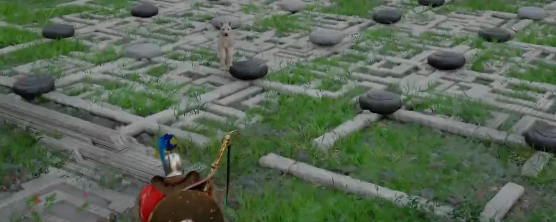 ����ɫɳĮ��Ӱ��ɭ��ˮ���ż����չ���-��ϸ�������