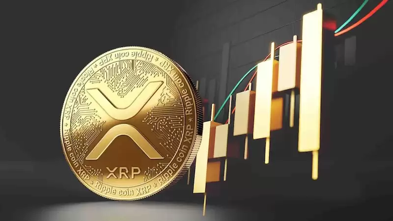 XRP��Solana ETF���������г�������ʮ��ǰ�������л����˳���