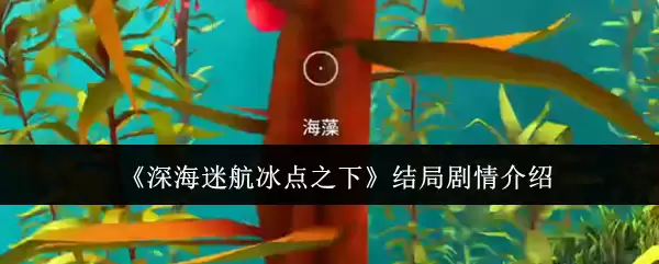 ����Ժ�����֮�¡���־������