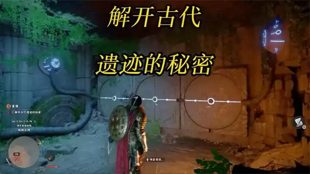 ��ɫɳĮ�Ŵ��ż�������������