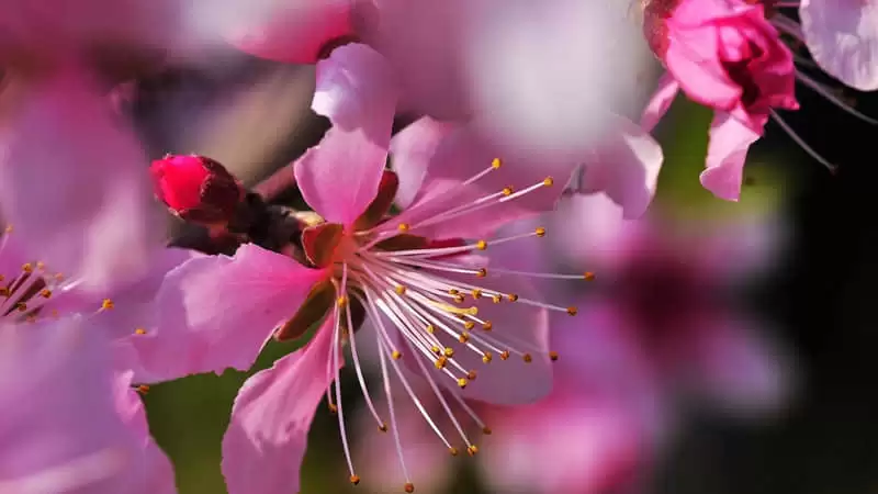 5��1��������Ц���������Ȧ