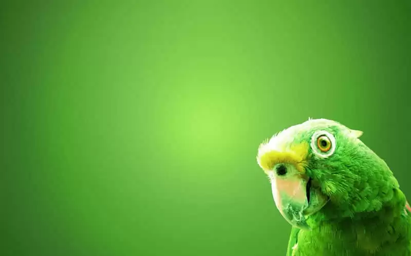 �̶̰��ֵ����ź�