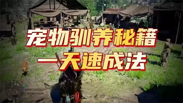 ��ɫɳĮ��˳����ȡ����