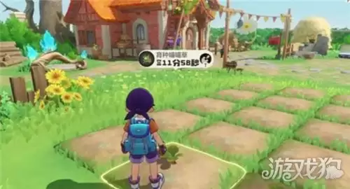 ������������԰�����ô��� ��԰��ô�������