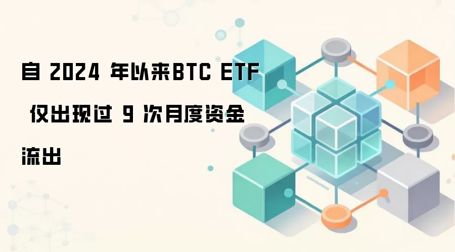 �� 2024 ������BTC ETF �����ֹ� 9 ���¶��ʽ�����