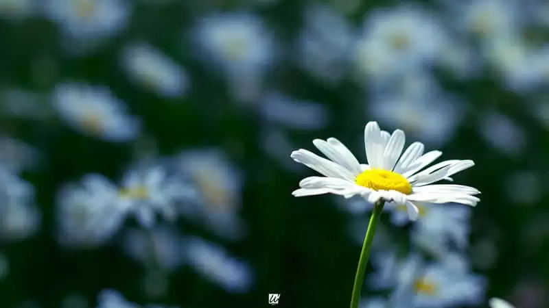 ���ṩ������ֵ��Ů��û�������ܹ�����