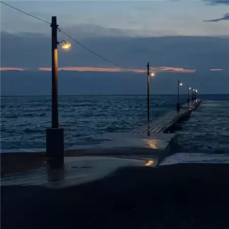 ����wd���˸�����Ů��(��ѡ100��)