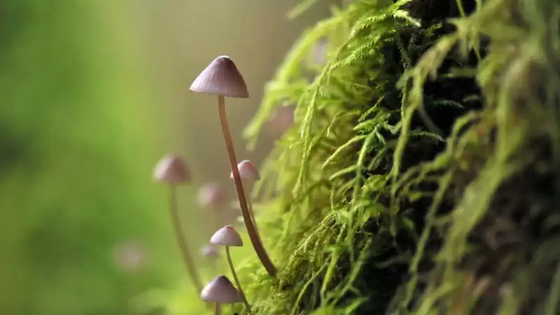 һ�仰��Խ��ô˵�������������ͱ���