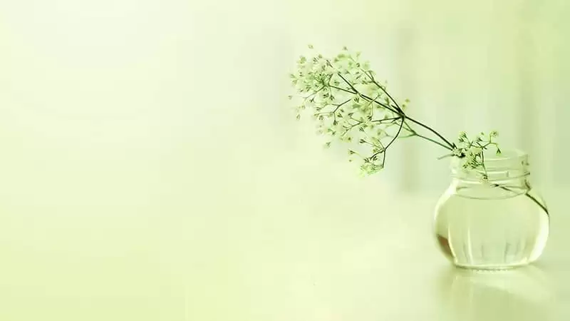 ���ṩ������ֵ��Ů��û���κ����ܿ���