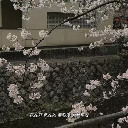 ���³��˸�����Ů������(��ѡ100��)