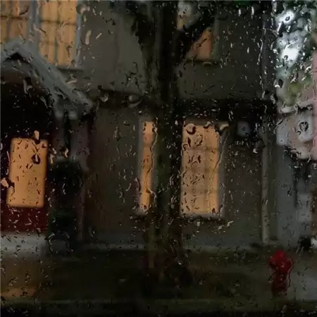 �˸е�С��������Ů��������(��ѡ100��)
