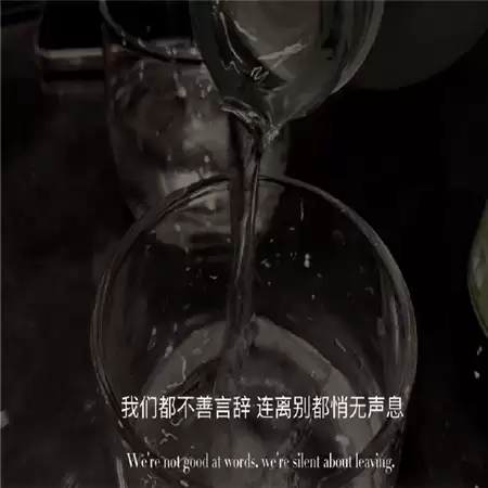 �ü��˸�����Ů��������(��ѡ100��)