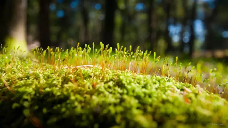 �ϰ�������Ц������Ȧ