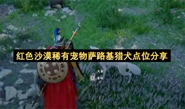 ��ɫɳĮϡ�г�����·����Ȯ��λ����