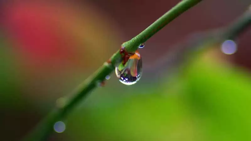 �� �� ɱ �� �� �� �� Ȧ �� �� ��