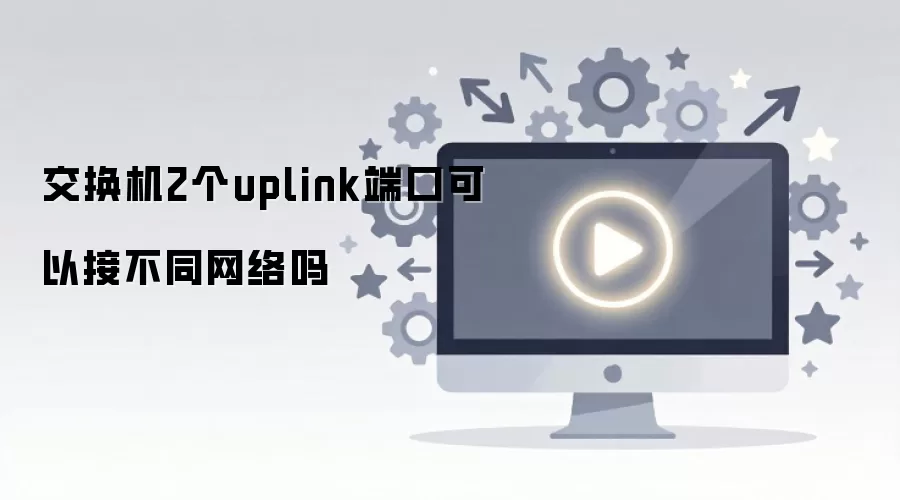 ������2��uplink�˿ڿ��ԽӲ�ͬ������