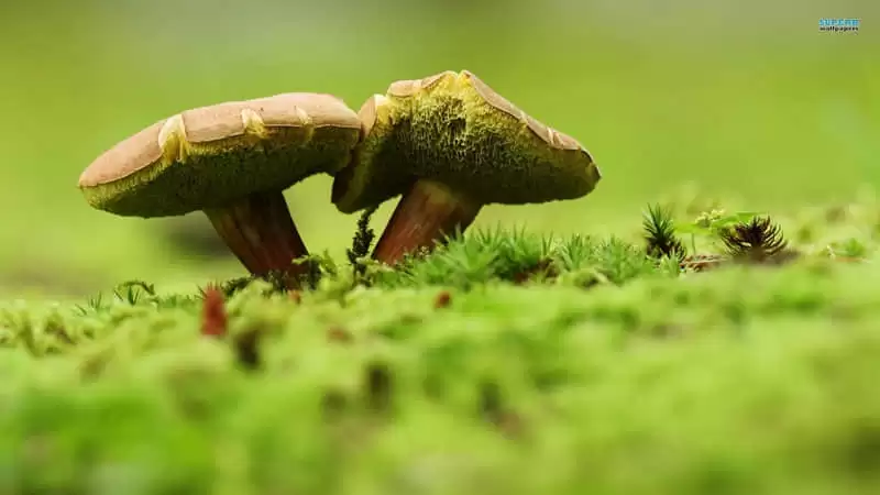 ��������һ����������Ȧ���й�