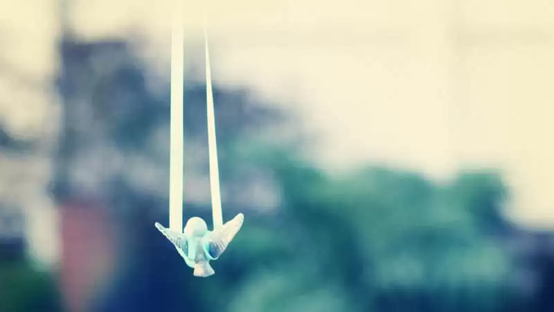 "�и�粻��������7���³ƺ�̫��ͷ"