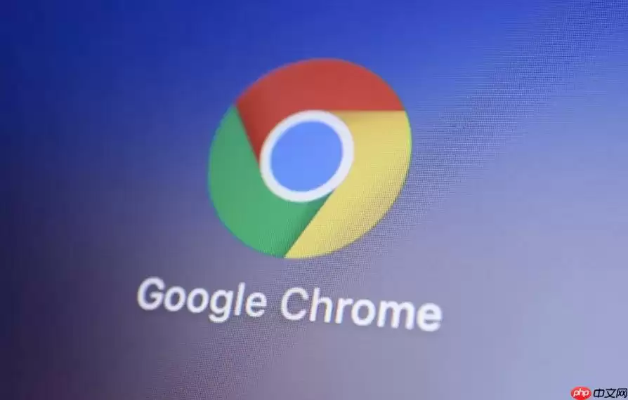 Chrome��ε�����ǩ����_Chrome��ǩ�������ݹ���