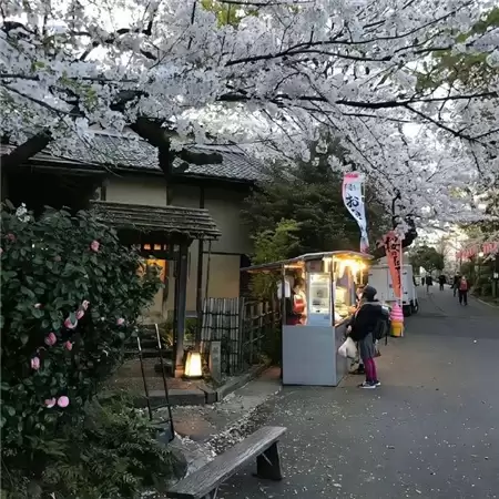 �Ե��˸�����������Ů��(��ѡ100��)