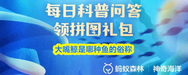 ���쾨����������׳�-֧�������溣����������2026��3��30��
