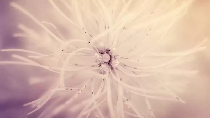 ���µ�һ������Ȧһ��Ҫ������