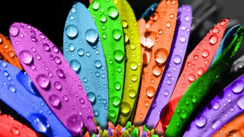 /.������һ�Ͷ�������Ȧ���������͵��ָ߼�
