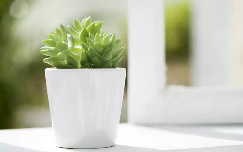 ��ȷ���Ĺ�ϵҪ������ʧȥ��