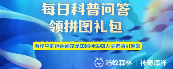 �����е��̳�ͨ�������������������ֳ�����