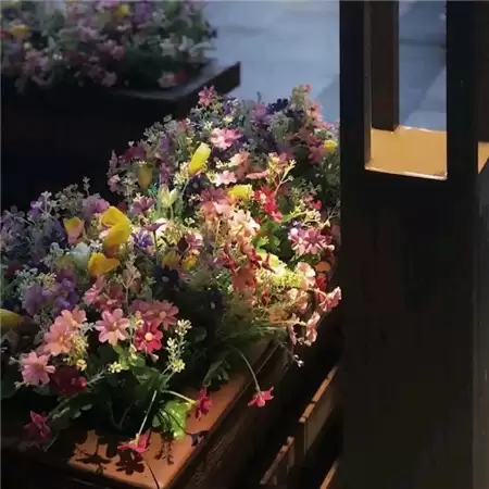 �˸�����������Ů��(��ѡ100��)