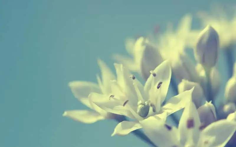 5�µ�1������Ȧһ��Ҫ������
