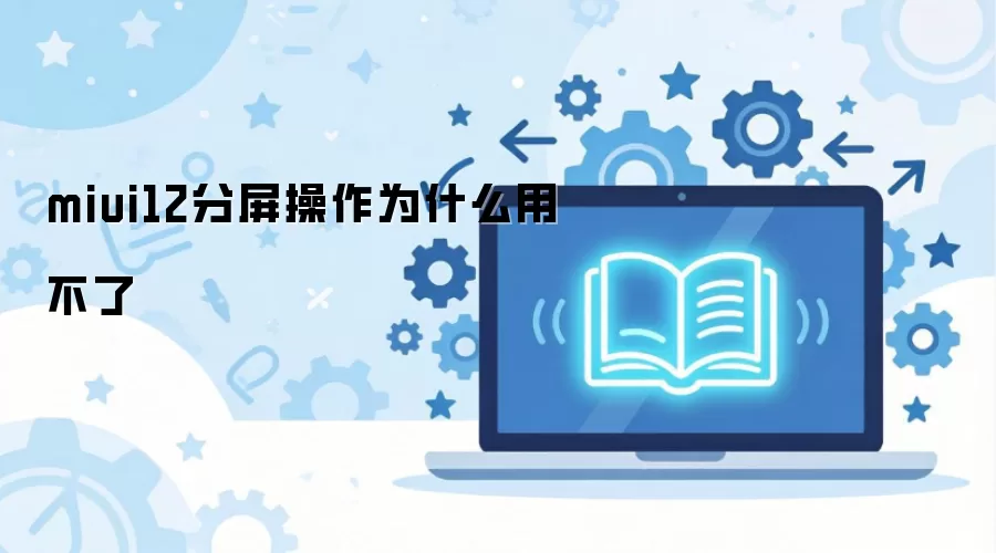 miui12��������Ϊʲô�ò���