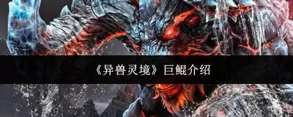 �������龳���������