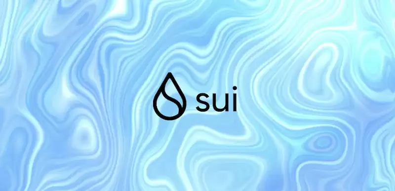 SUI��δ���������ǿռ����Ƿ�ֵ������