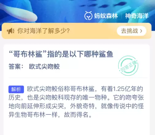 �粼����ָ����������������
