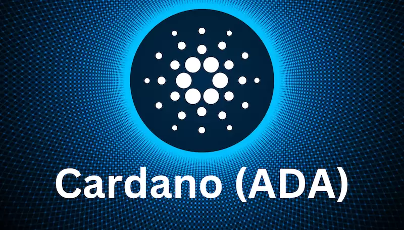 ADA�Գ�ʵս���ɣ�����ڱ�Ȧ����99%����