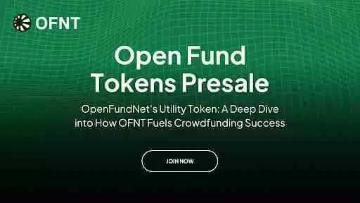 OpenFundNet��ʵ���ʹ��ҡ��ڳ�ɹ���һ����ʱ����