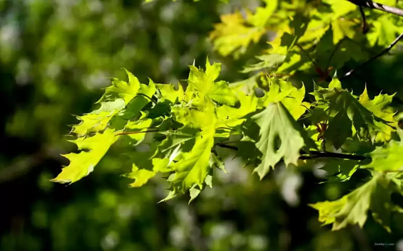 �ʺ����·�������Ȧ�İ�