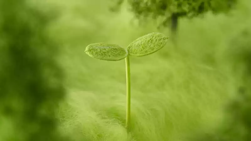 ���³����Լ����İ�