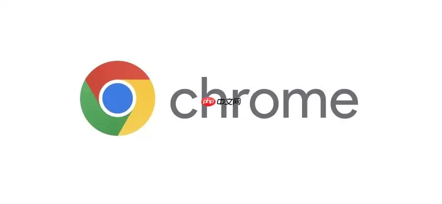 Chrome����������������_Chrome������������ü���