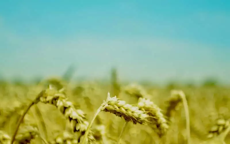 �簲��ô˵��ĳ�˵���͵��һ����