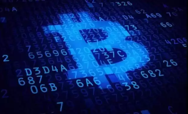 �������֧�����ֻ��ң���6���Ϲ�һ����һ��ţ�н���