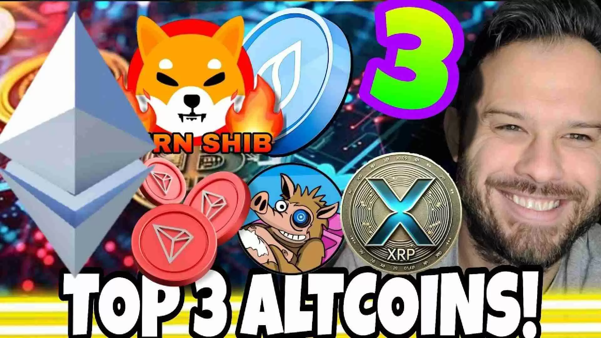 2025��ļ��ܻ��ң����رҵĿ���֮·��ɽկ�ҵļ���