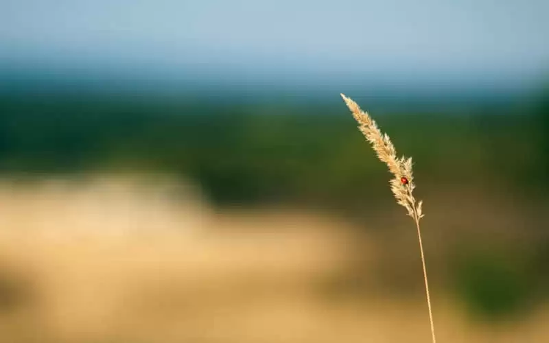 �ʺ������ٸ�����קק���İ�~
